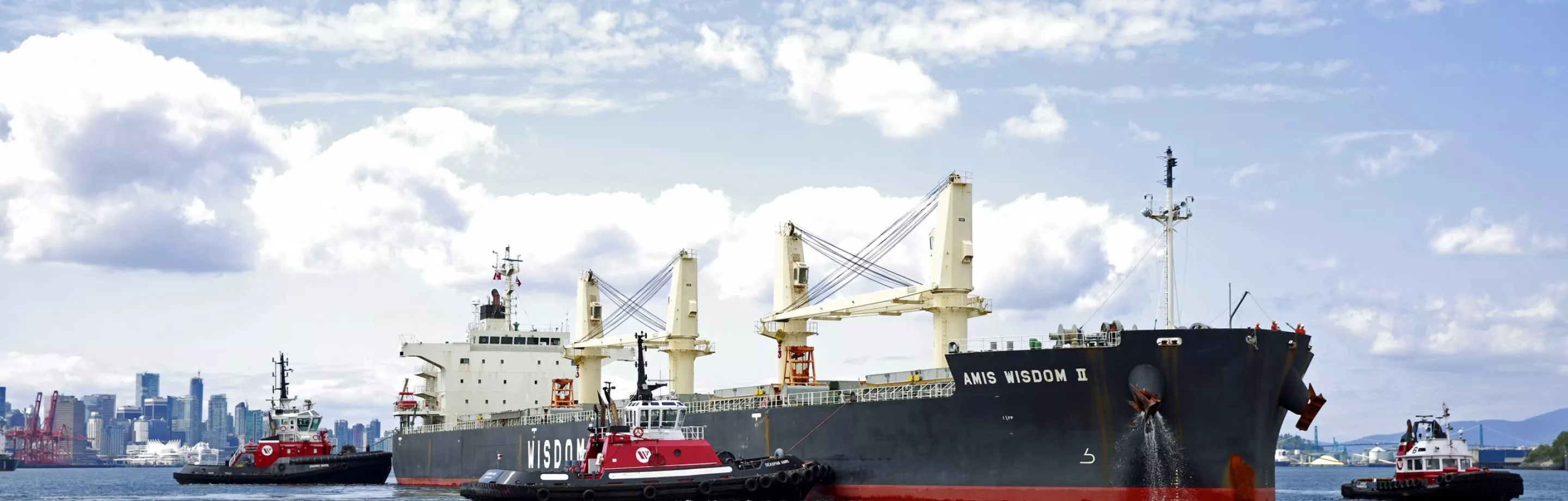 Bulk ship at Burrard Inlet