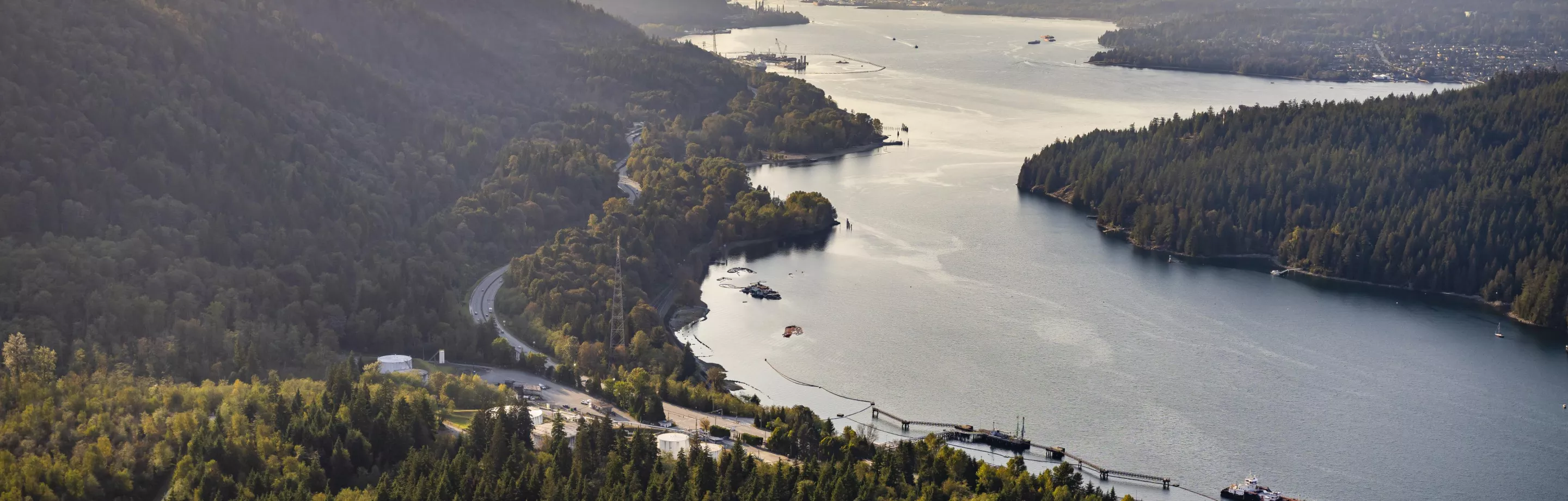 Aerial view of the Fraser River, pictured on the right, running through green forest.