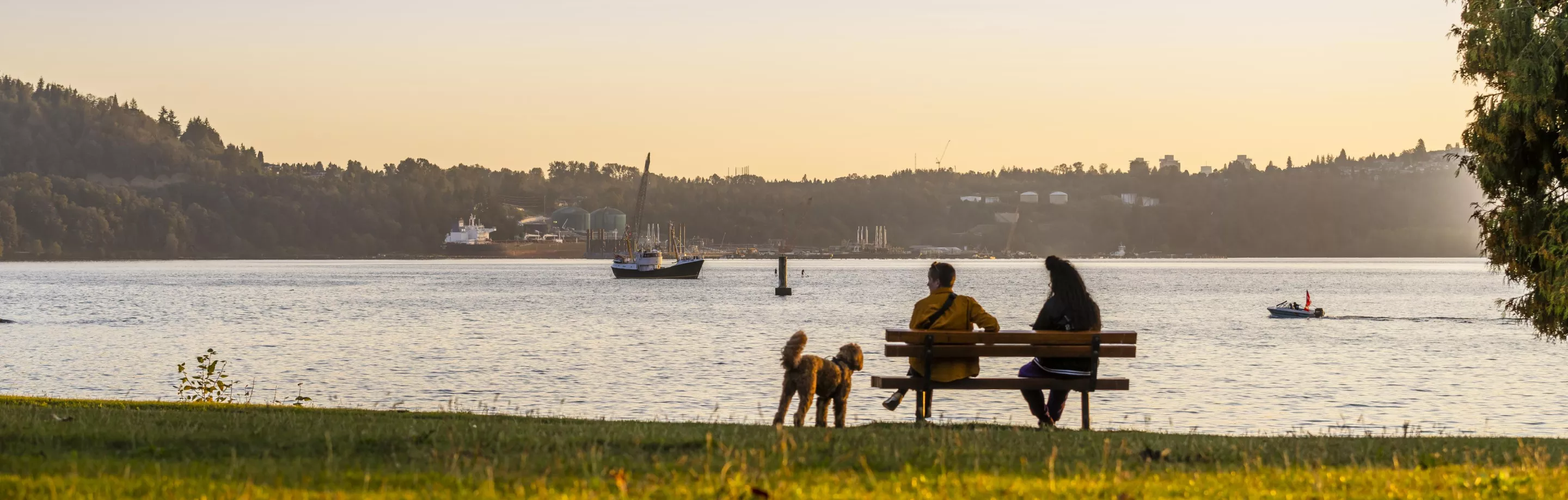 Shoreline view from Belcarra Park