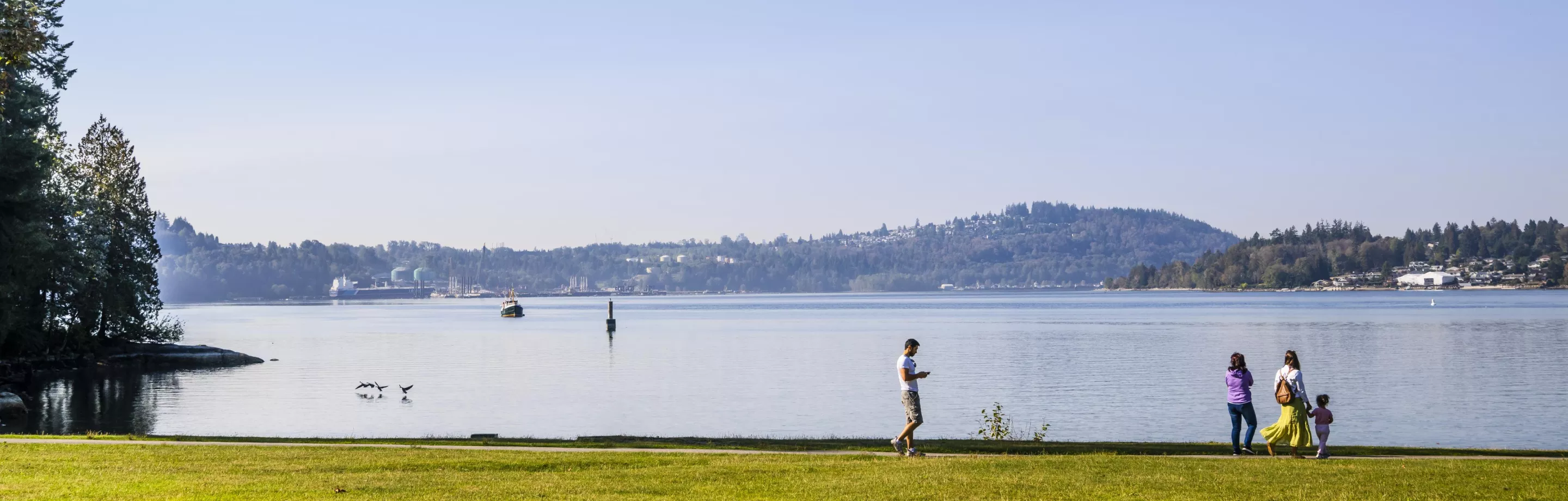 Photo from the shoreline of Belcarra park 