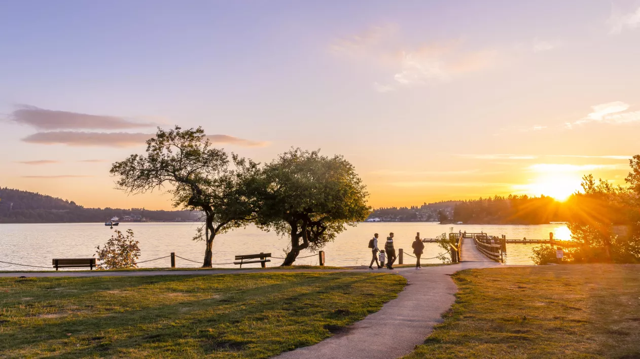 Belcarra park at sunset