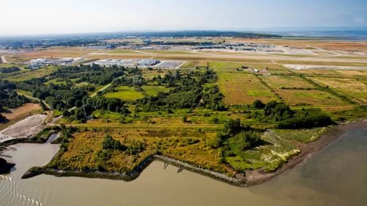 An aerial view of the McDonald Tidal Marsh