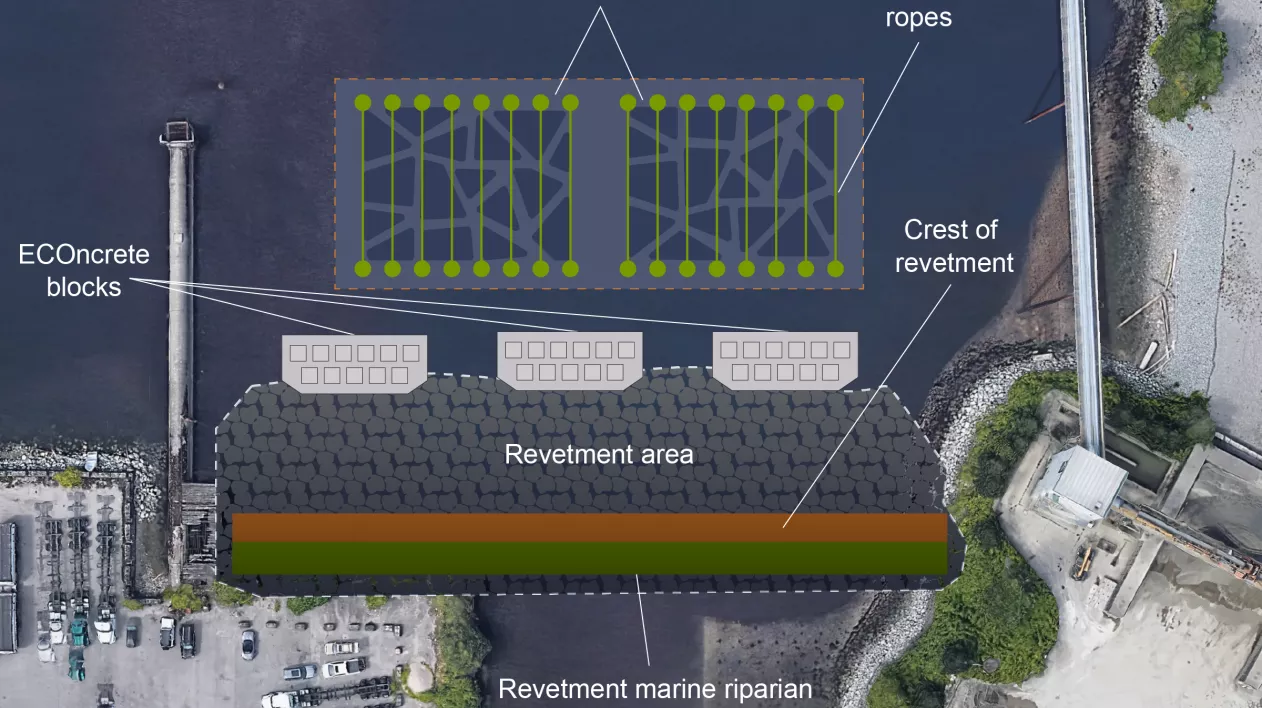 Rendering of the Stirling Shipyard Remediation and Infill Project work site