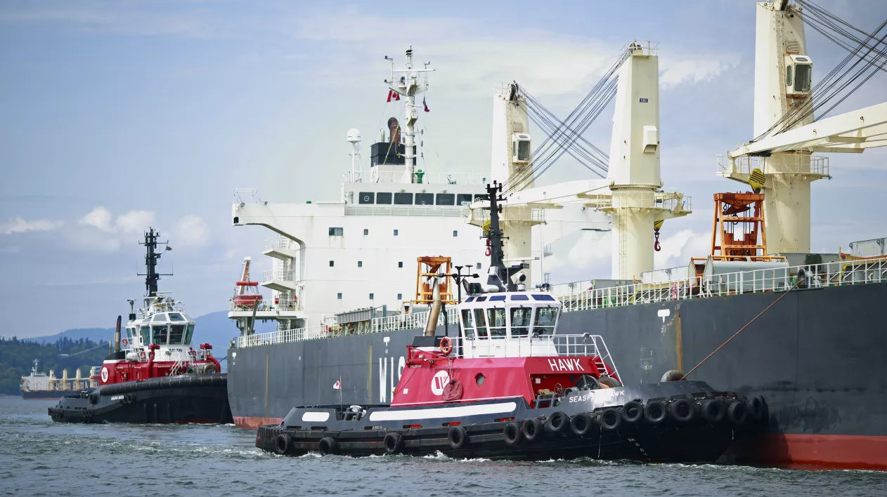 Tugboats alongside a breakbulk ship