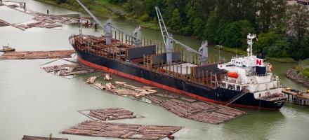 Breakbulk ship with logs